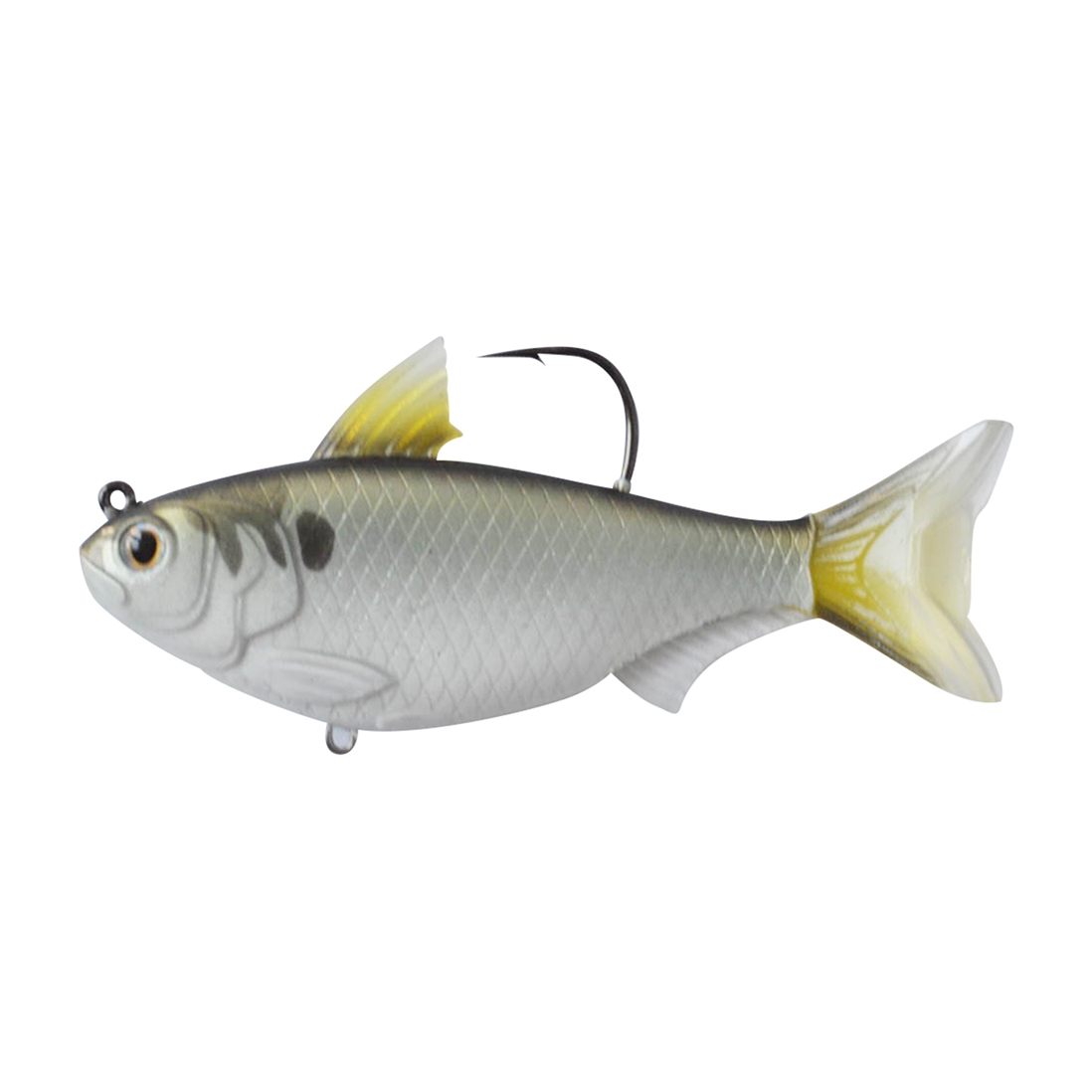 Baits Lures Flies Details About Livetarget Gizzard Shad Sliver Black 2 Koppers Gizzard Shad Gzc51m2 Sporting Goods