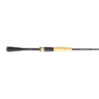 Expride Spinning Rod